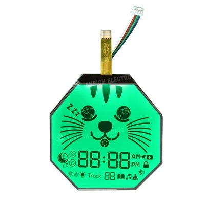 FSTN Octagon Segment LCD-modul